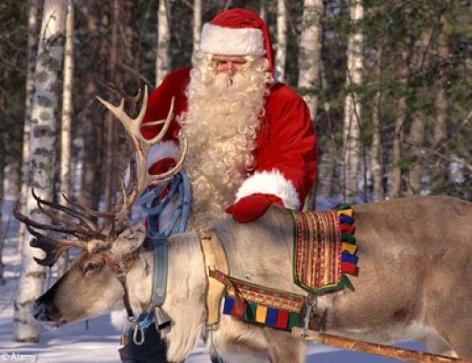 Renii lui Moş Crăciun au venit din Suedia la Complexul Muzeal de Ştiinţe ale Naturii